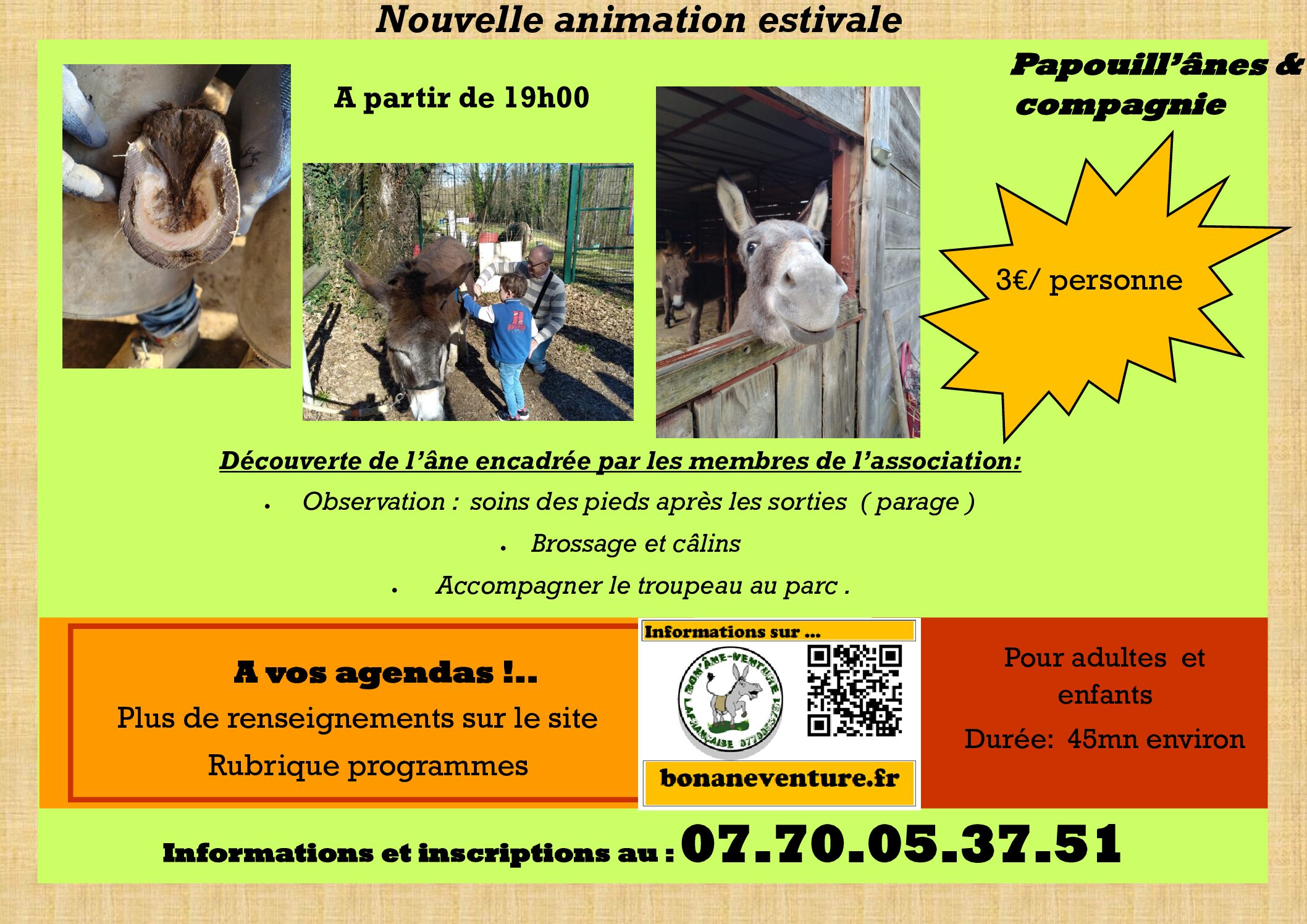 Papouill'âne